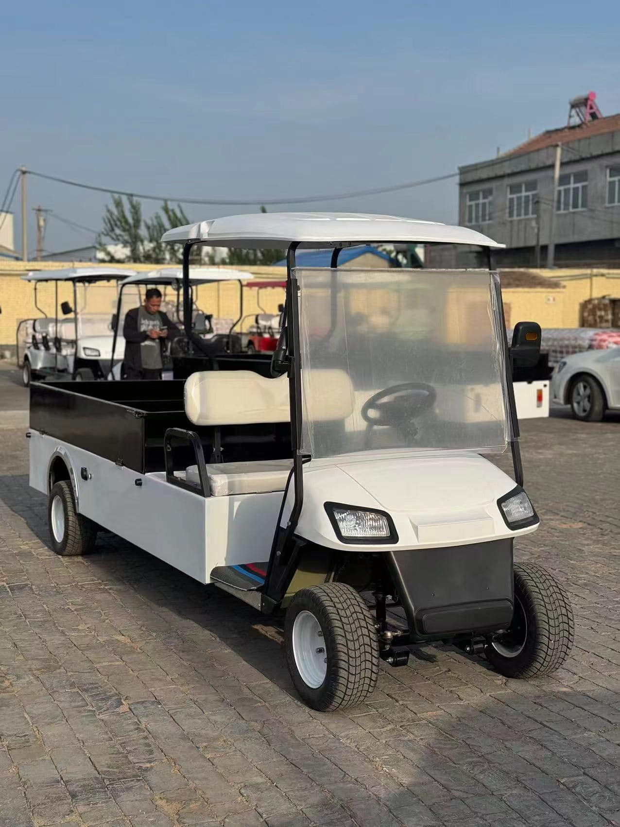 60V Lithium 2-Seater Electric Utility Vehicle Golf Carts With Cargo Box