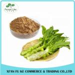 Manufacturer Supply Low Price Wild Lettuce Leaf Extract