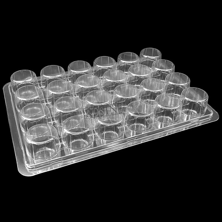Customized Plastic Bakery Packaging Blister 24 Count Cupcake Containers