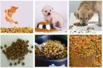 Industrial Automated Pet Food Extruder Machine Siemens PLC & Touch Screen