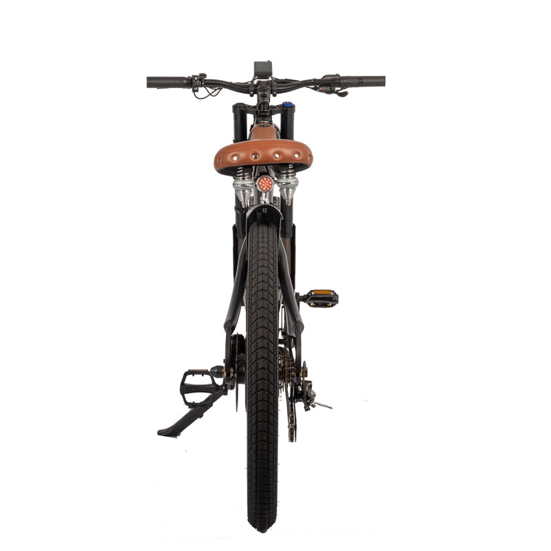 750W Brushless Motor Electric Motorcycle with 26 Inch Tires and 45KM Travel Distance
