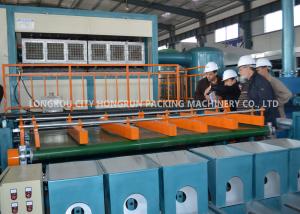 Quality Pulp Moulding Carton Egg Tray Machine , Fruit Tray Forming Machine wholesale