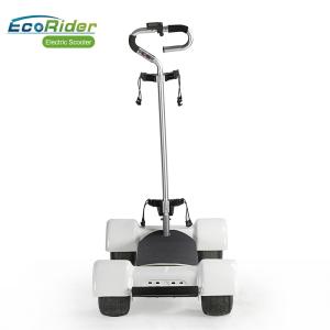 Quality 10.5 Inch 4 Wheel Skateboard 1000W Brushless Motor With Removable Golf Handle Bar wholesale