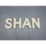 LED Luminous Characters Acrylic Borderless Luminous Logo Door Sign Luminous