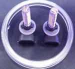 20SMD(7014)/Bright+Strobe