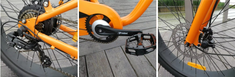 Step Thru Ebike 7 Speed Electric City Bike 48V 500W 750W Electric Bike 26*4.0 Fat Tire Electric Bike For Ladies