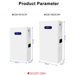 Powerwall Lithium Ion 48V Solar Battery 100ah 200ah 10kwh Wall Mount Lifepo4