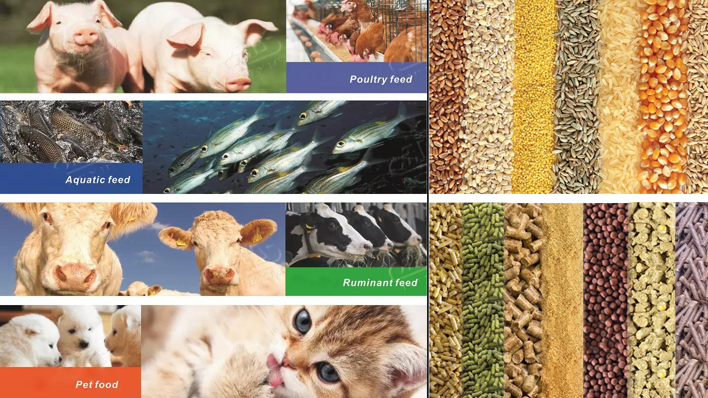 GM250E Econimical Livestocks And Poultry Pellet Mill Product Line