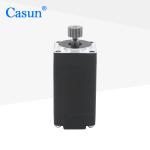 0.6A 6V NEMA 8 Stepper Motor 40mNm 2 Phase Bipolar Stepper Motor