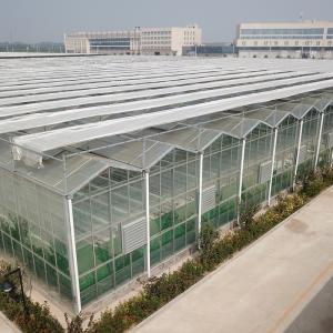 Quality Green Agricultural Glass Greenhouse with 5mm Covering Span Width 9.6m 10.8m 12m wholesale