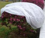 Garden Frost Protection Fleece Pp Spunbond Non Woven Cover Customized