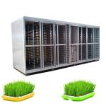 Animal Fodder Hydroponic System Barley Germination Machine 100kg Per Day
