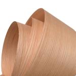 Hot Sale Natural Red Oak 0.3mm/0.45mm/0.5mm/0.6mm Oak Veneer Sheet Red Oak Wood