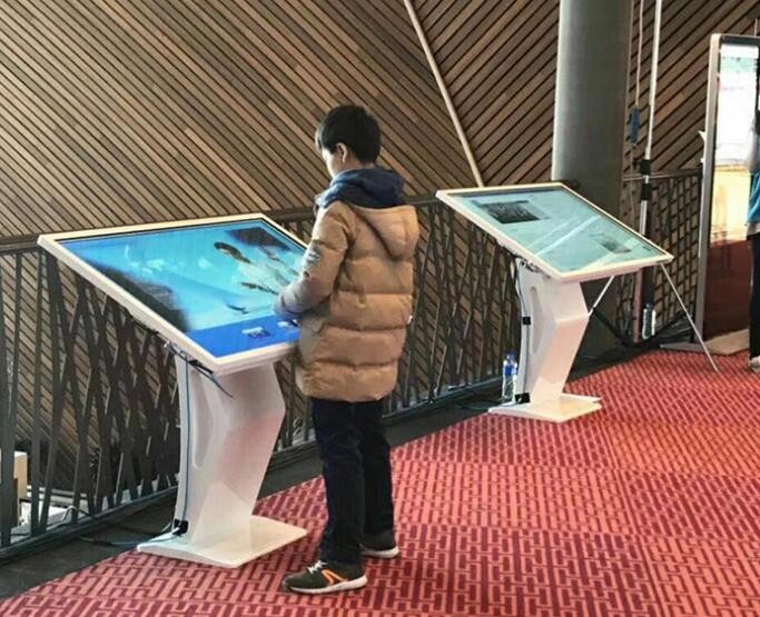 65 Inch Interactive Computer Kiosk LCDtouch Screen Kiosk 500nits
