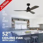 Decorative Fancy Dc Motor Silent Remote Ceiling Fan Led Light CE SAA