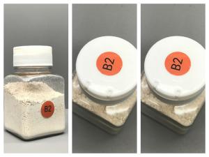 Quality High Bonding Strength Opaque Powder Classic B2 Color For Teeth Making wholesale