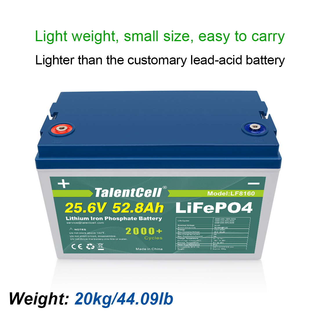 Lithium Ion Ferrous Phosphate Lifepo4 Battery For Ev 24v 50ah