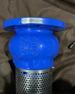 Quality EPDM seal ductile iron flanged foot valve made in China wholesale