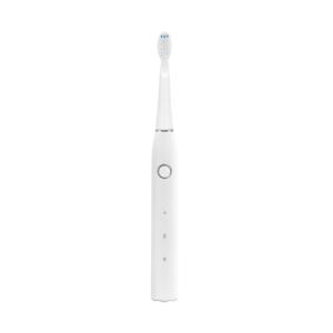 Quality Multifunctional Dental Electric Toothbrush , Adult Ultrasonic Toothbrush Cleaner wholesale