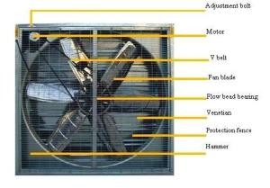 Quality Poultry Fan wholesale