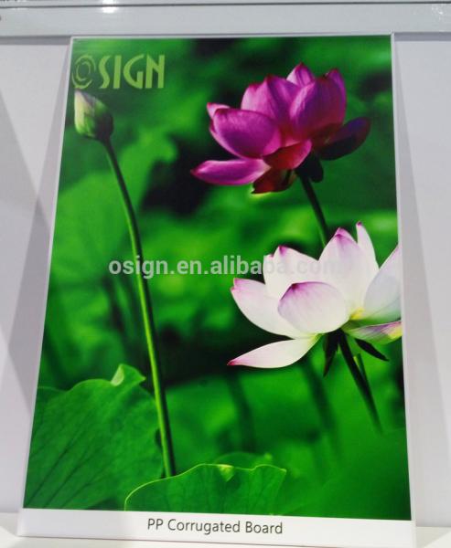 Corrugated plastic sheets, corrugated plastic sheeting, corrugated plastic