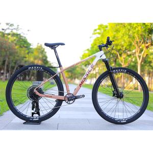Quality Hydraulic Disc Brake Alloy Mountain Bike with 29 Inch Big Wheels and 160mm Brake Pad wholesale