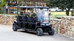 Tourist Sightseeing Electric Golf Buggy 6 Seats