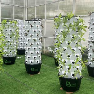 Quality Automatic Tower Hydroponic System For Space Saving Plant Cultivation wholesale