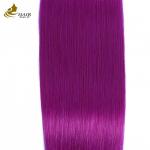 Purple Human Hair Straight Bundle Virgin Human Hair weft extensions