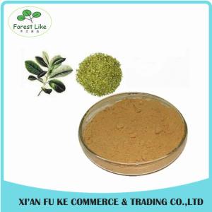 Quality Best Selling Natural Yerba Mate Extract Polyphenol Tannin acid wholesale