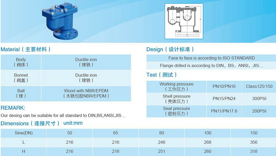 BS ANSI Ductile Iron Check Valves Automatic Air Valve Flange Cast Iron Flanged Gate