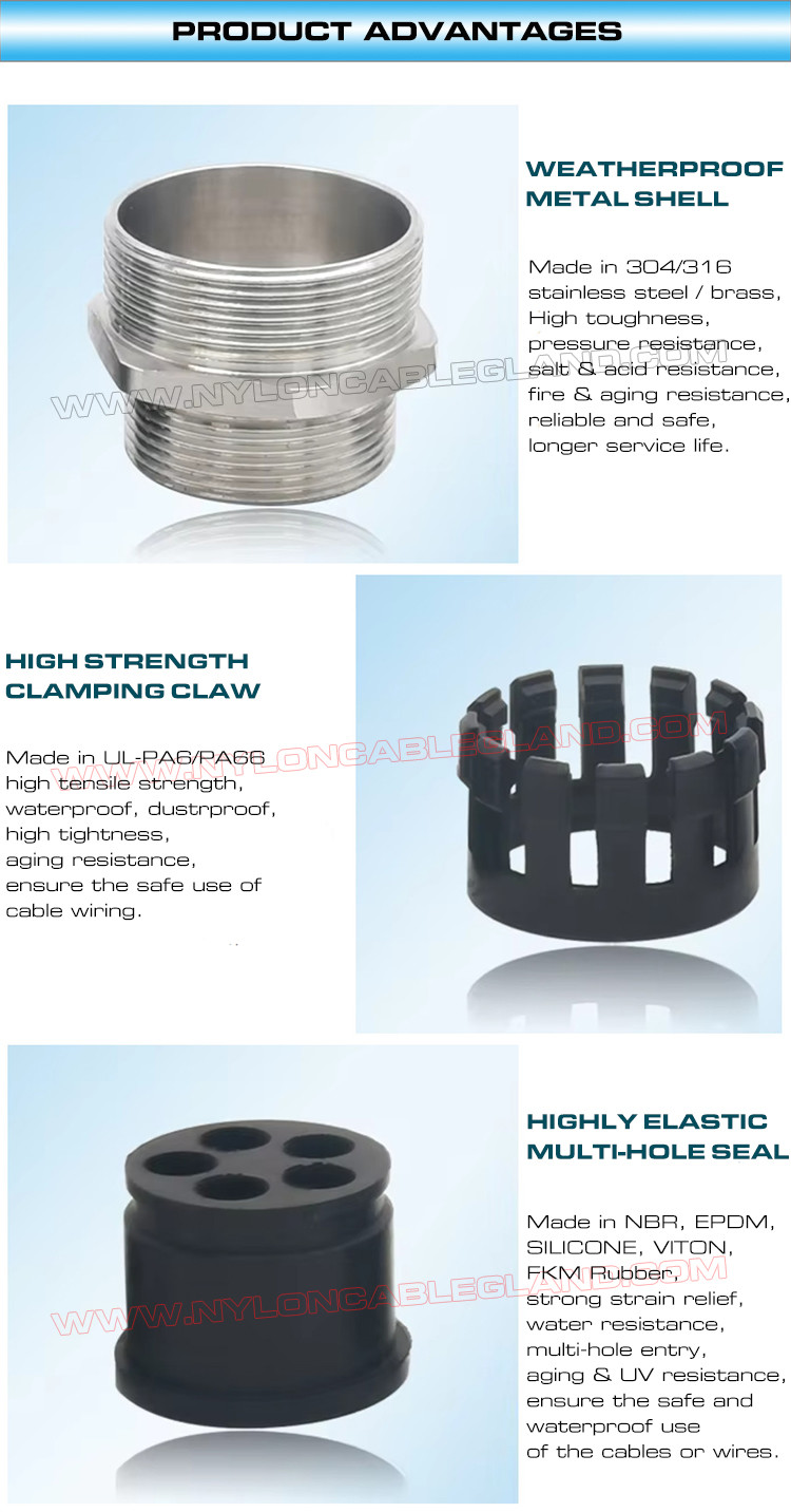 IP68 Brass Multi-Hole Cable Glands, 304/316 Stainless Cable Glands PG & Metric c/w Multi-Orifice (Multi-Entry) Seal