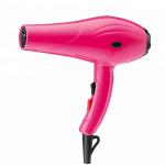 2200W Powerful Customized Blow Dryer , AC Motor Portable Hair Blower