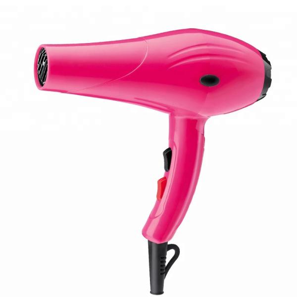 2200W AC Motor Gorgeous Hair Dryer , Fast Drying Blow Dryer For Professional