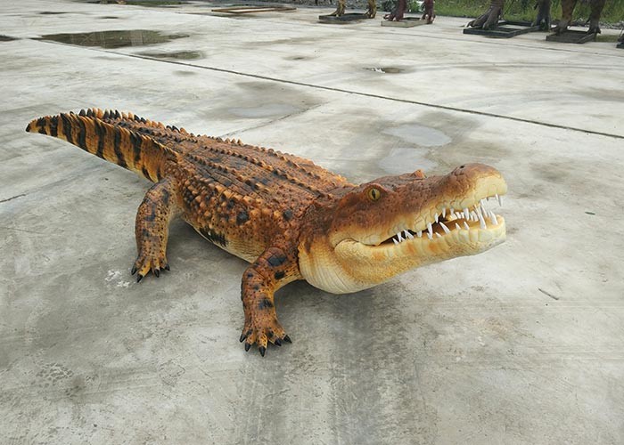 Normal Size Animatronic Animals , Realistic Electric Crocodile Ride