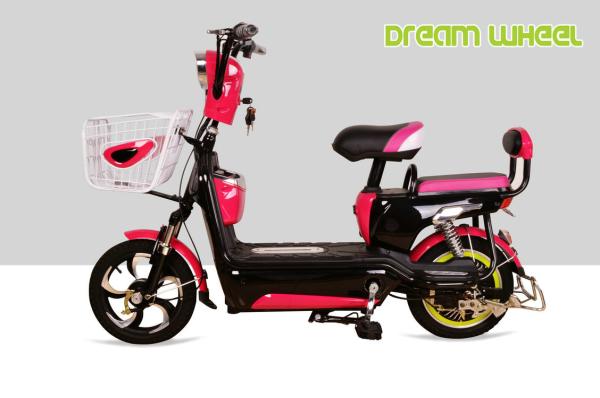 2 Wheel Pedal Assist Electric Bike Pink 48V 20Ah Lead Acid Gel Battery