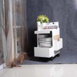 10KG Wood Corner Cabinet