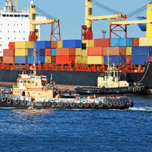 Global Exw Lcl FCL Sea Freight Companies China To Poland Fullcontainer Freight