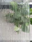 5mm-12mm Extra Clear Patterned Glass for Door Window Building