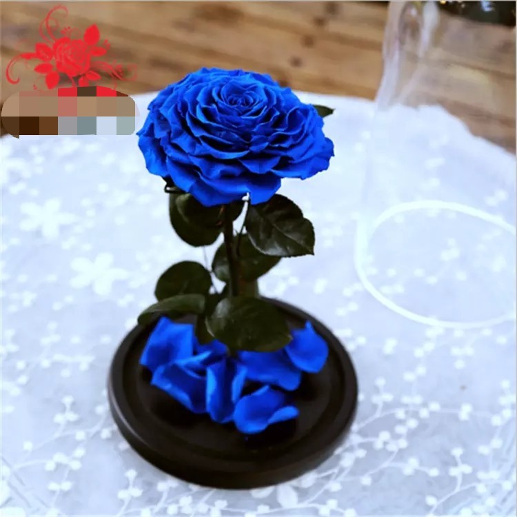 Preserved rose in glass terrariums with base for luxury gifts
