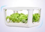 PVC 15 Holes 24V Vertical Hydroponic Growing Systems