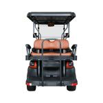 4 Forward+2 Rear Seats Electric Sightseeing Golf Buggy
