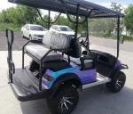 4 Seater Golf Cart Lead Acid Battery Factory Direct Sales Cheap Price Excellent