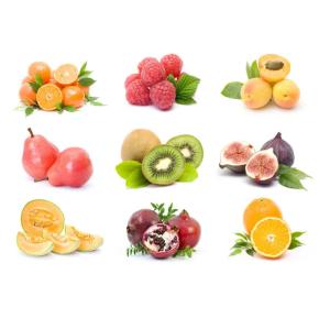 Quality PET Bottle Fresh Fruit Tomato Processing Line 2T/H wholesale