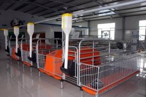 Quality International Brand Of RderCorpPig Equipment wholesale