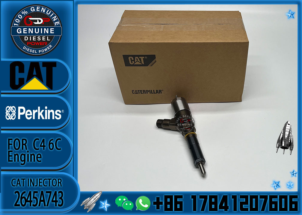 2645A743 Common rail injector fuel injecto 10R-7675 2645A748 2645A743 320-0670 for C4.2 C6.4 Excavator C4.2 C6.4 320D