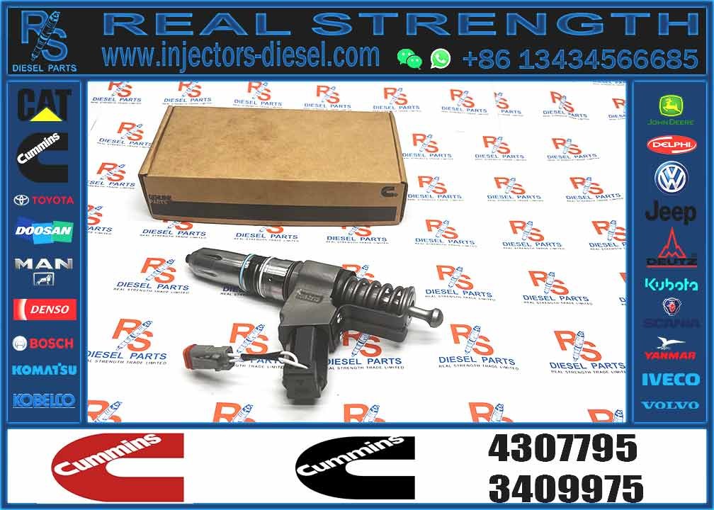 Diesel High Quality 4307795 Common Rail Injector 4307795 Auto Parts Injector
