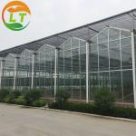 Transparent Glass Greenhouse for Sustainable Vegetable Planting and Plant Growth