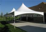 Custom Canopy Tent , UV Resistant Pagoda Shaped Garden Party Gazebo