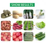 High pressure air bubble machine wash vegetables garlic washing machine for sale